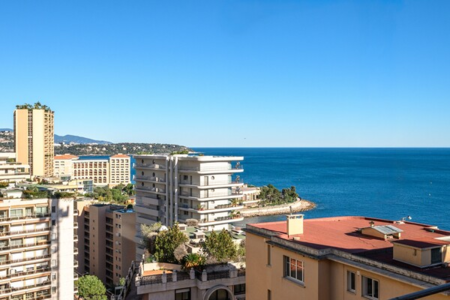 Стильная отремонтированная однокомнатная квартира с террасой | Ла-Радиёз, Монако - 2