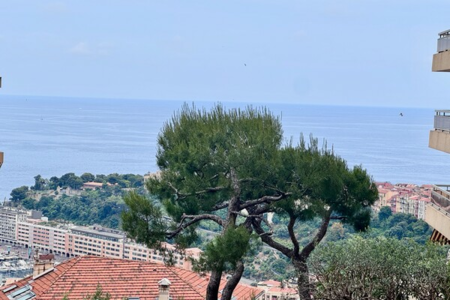 JARDIN EXOTIQUE  | LES LIGURES | 3 PIÈCES - 2
