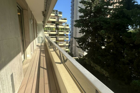 JARDIN EXOTIQUE | BEL HORIZON | 3 PIÈCES - 3