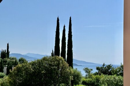 JARDIN EXOTIQUE | LE PLATI | 2 PIECES - 2