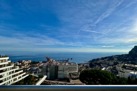 Пентхаус под ремонт с потрясающим видом на Монако и море - 1