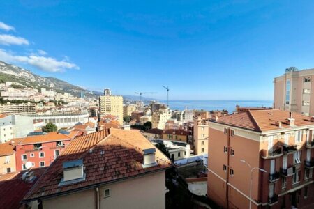 Superbe 4 pièces avec terrasse et vue mer panoramique - 1