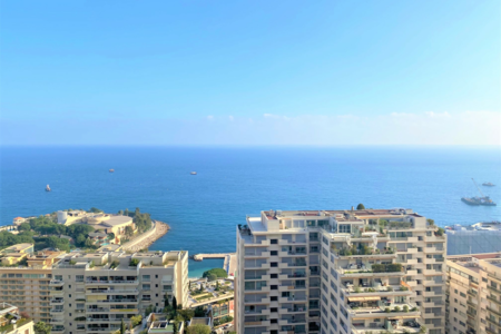 Monaco Properties Guida definitiva alla vita di lusso sul lungomare a Larvotto e Fontvieille, Monaco