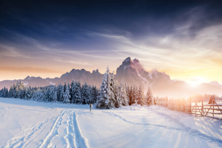 Monaco Ski Retreats: Luxury Real Estate Near Alpine Paradises