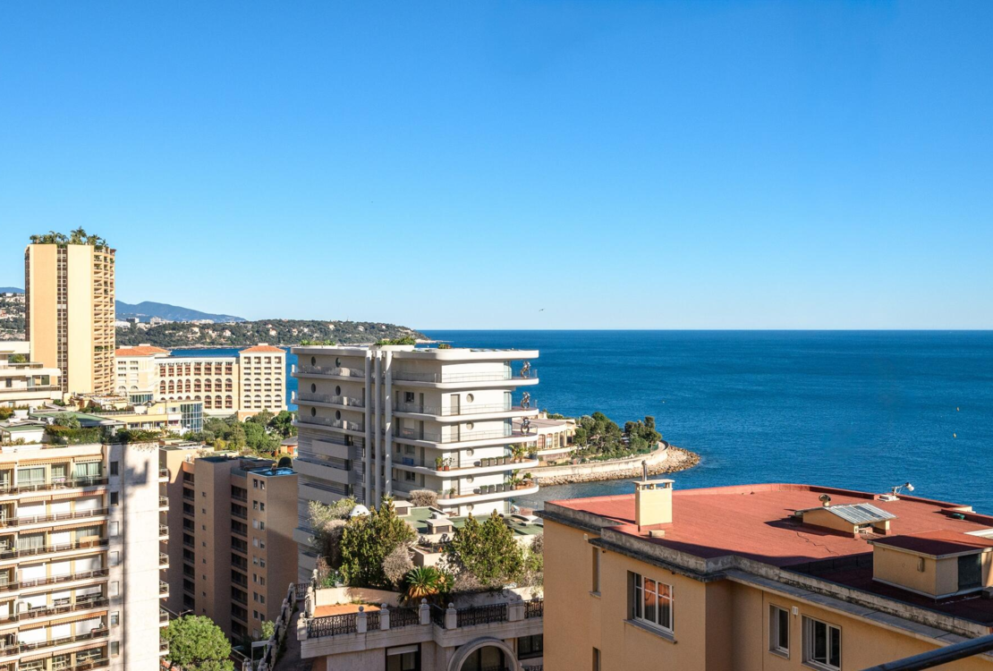 Elegante appartamento con una camera da letto ristrutturato e terrazza | La Radieuse