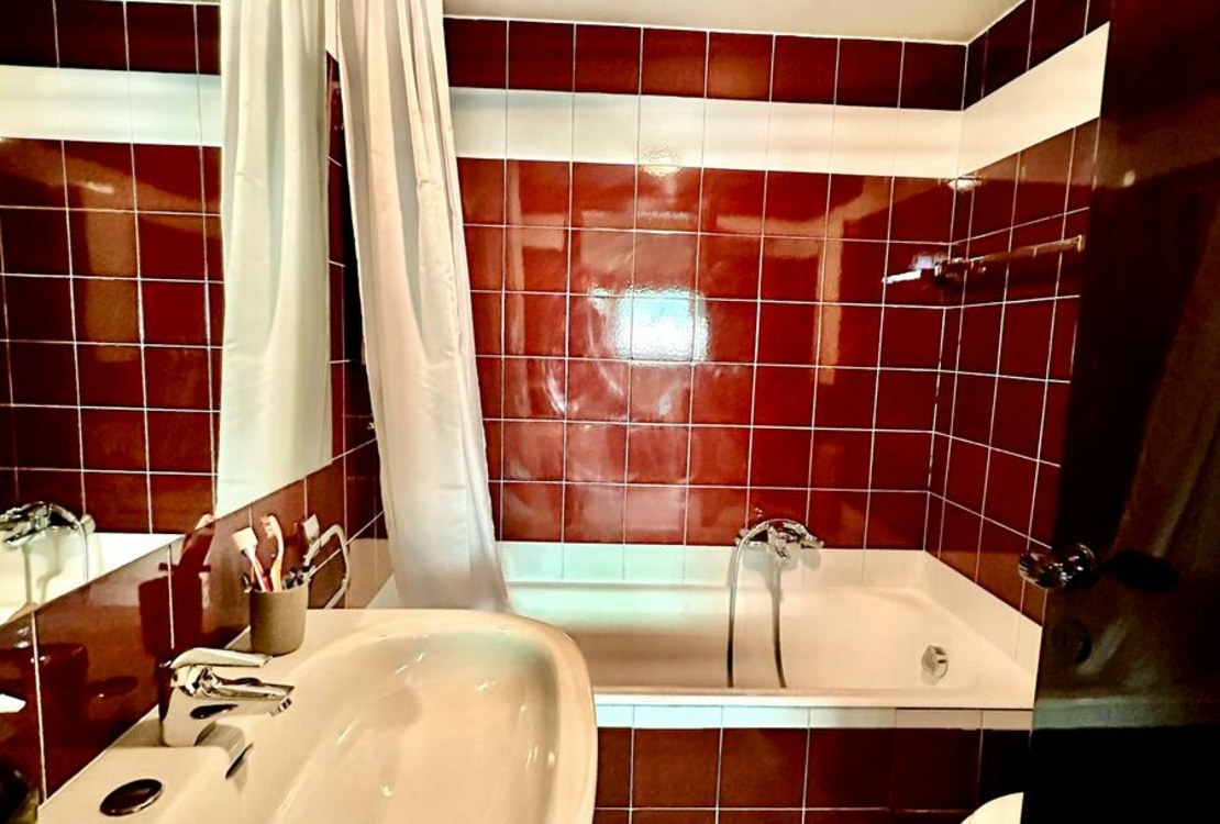 LA ROUSSE -SAINT ROMAN | PARC SAINT ROMAN | STUDIO