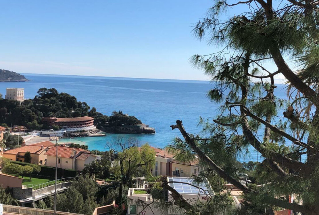 LAROUSSE | PARC SAINT ROMAN|3 ROOMS