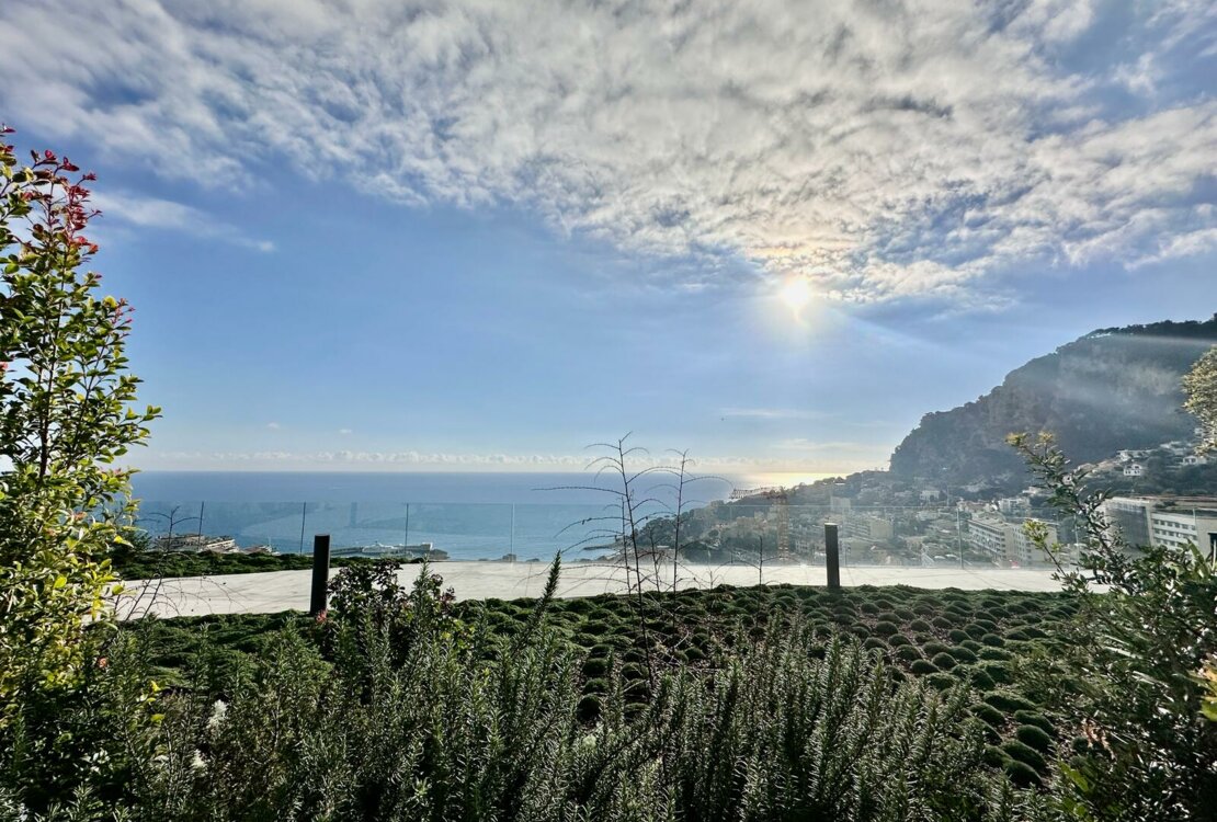 JARDIN EXOTIQUE | PLEIN SUD |  3/4  ЧАСТИ