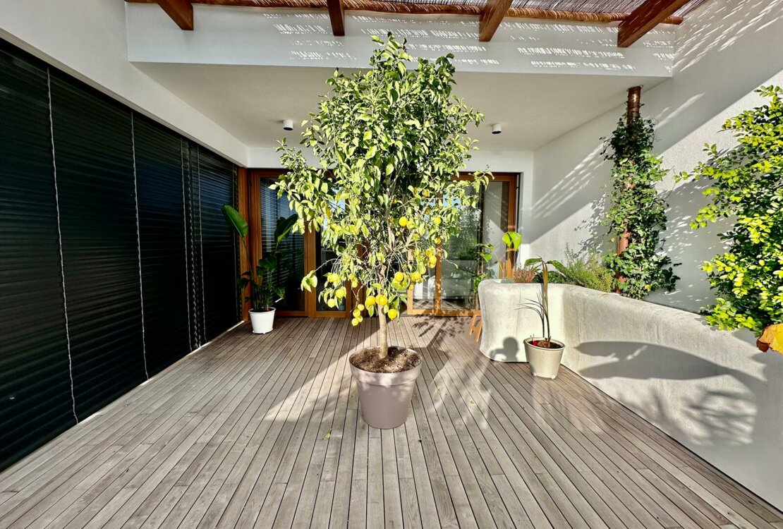 JARDIN EXOTIQUE | PLEIN SUD |  3/4  ЧАСТИ