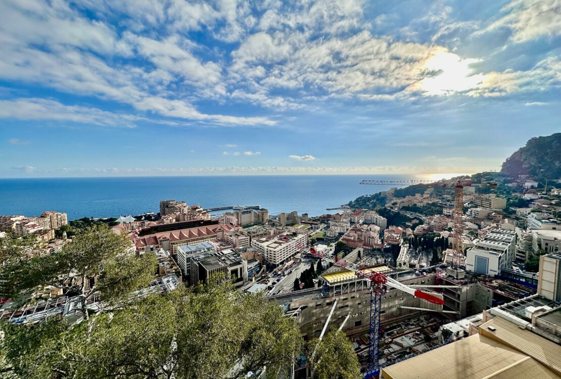 JARDIN EXOTIQUE | PLEIN SUD |  3/4  ЧАСТИ