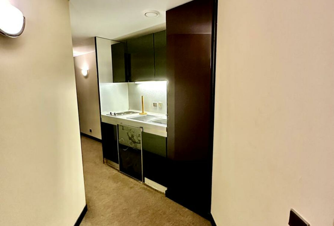 LA ROUSSE -SAINT ROMAN | PARC SAINT ROMAN | STUDIO