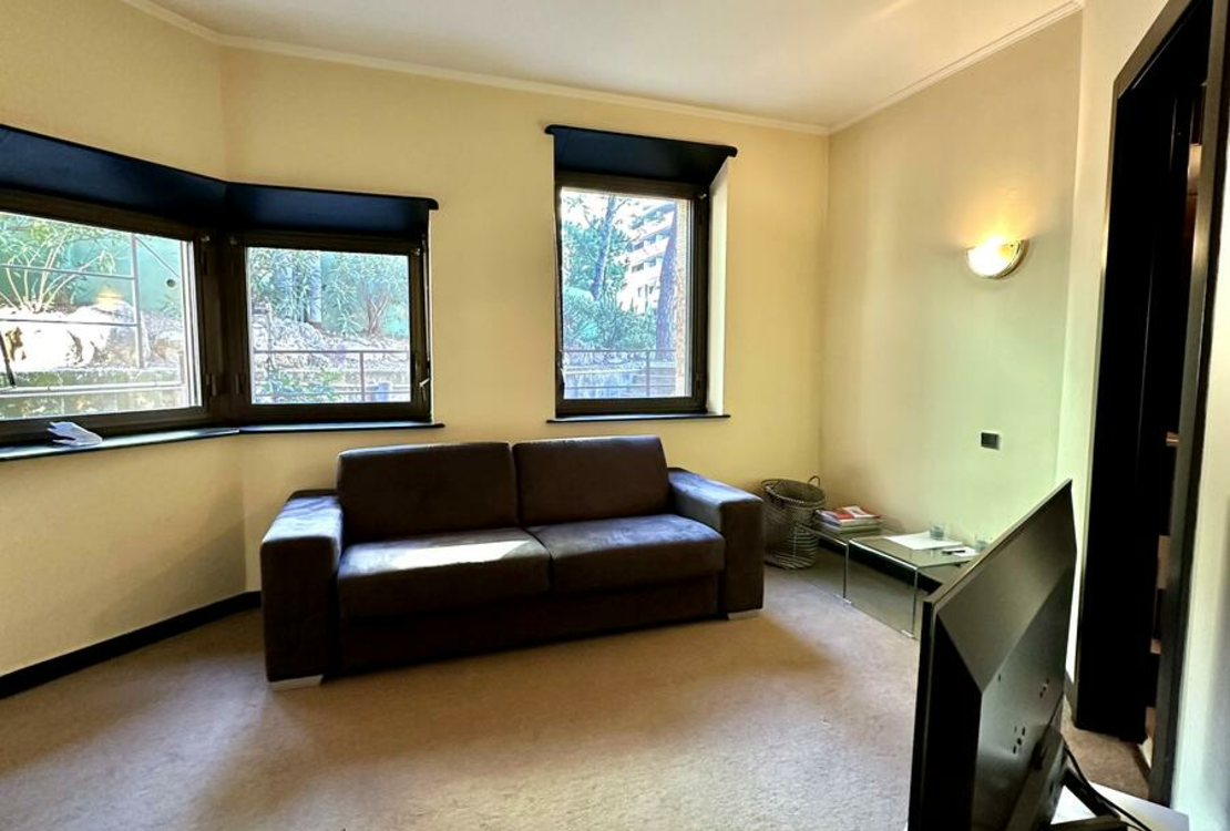 LA ROUSSE -SAINT ROMAN | PARC SAINT ROMAN | STUDIO