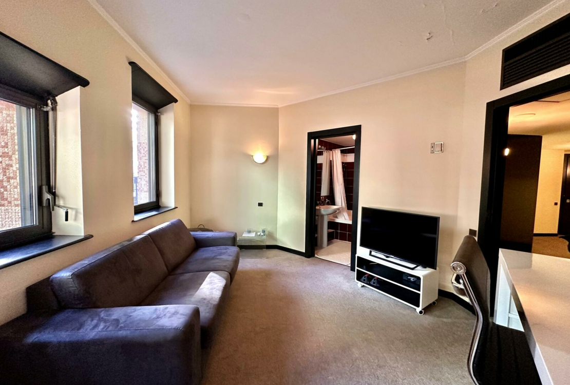 LA ROUSSE -SAINT ROMAN | PARC SAINT ROMAN | STUDIO