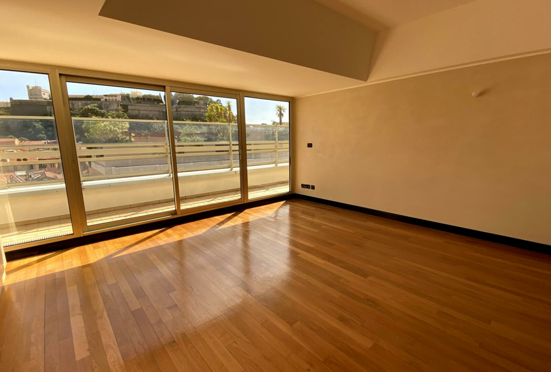 LA CONDAMINE  | LE SUFFREN | DUPLEX