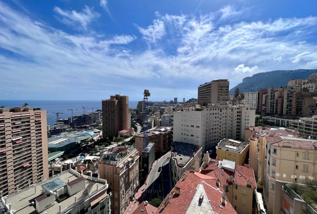 LAROUSSE | LES ABEILLES | STUDIO