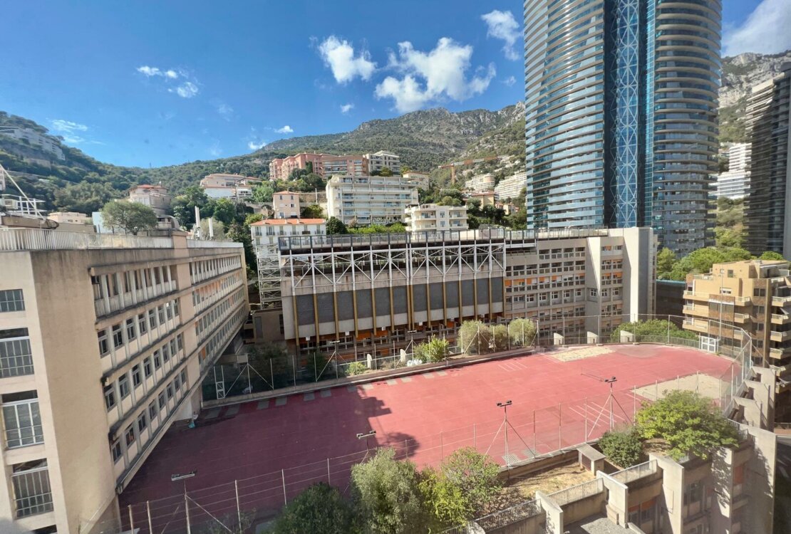 LAROUSSE | LES ABEILLES | STUDIO