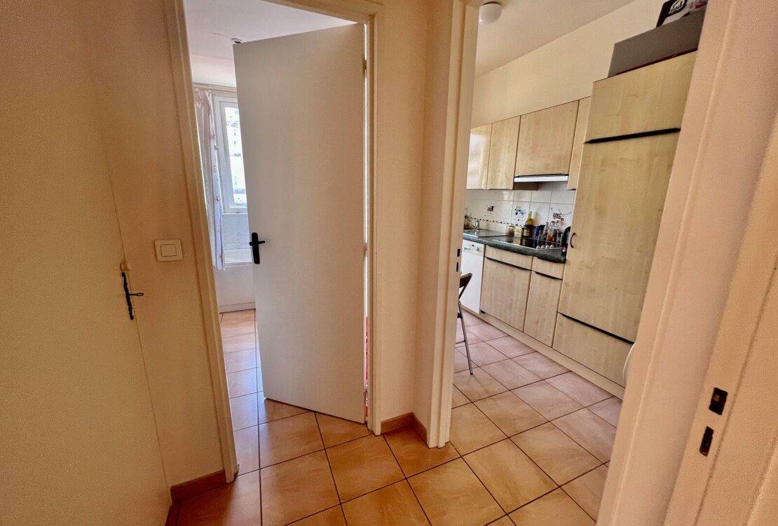 LAROUSSE | LES ABEILLES | STUDIO