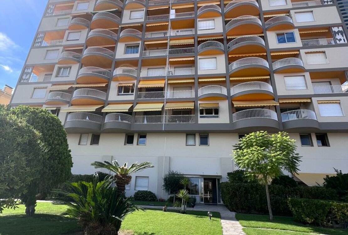 LAROUSSE | LES ABEILLES | STUDIO