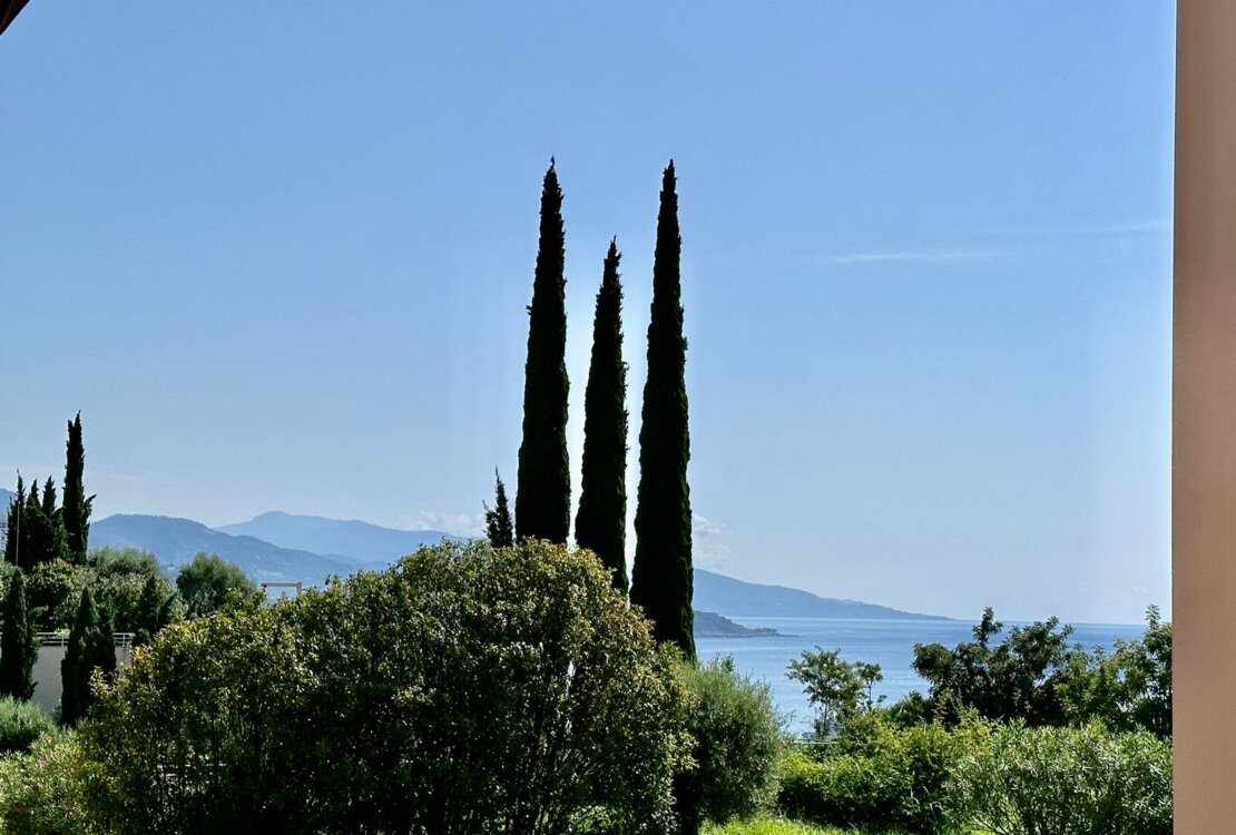 EXOTISCHER GARTEN | DIE PLATI | 2 ZIMMER
