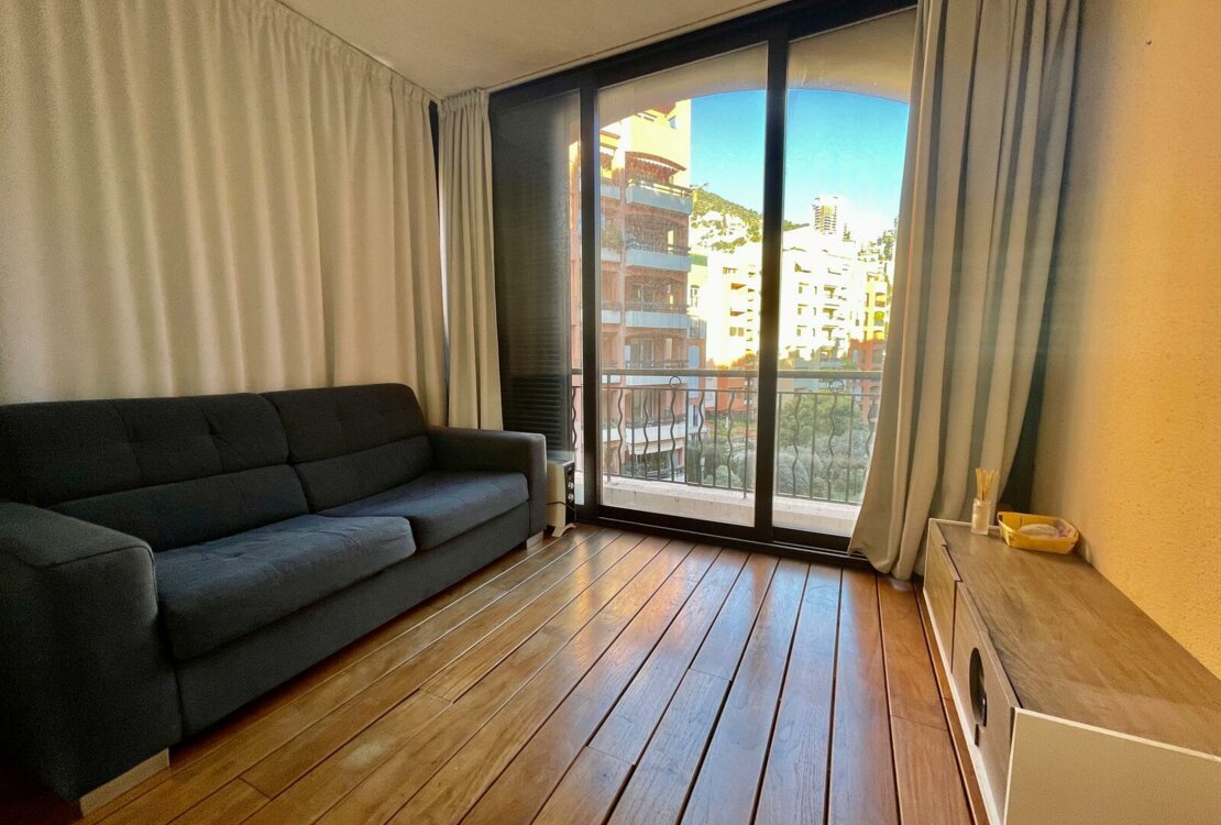 FONTVIEILLE | MICHELANGELO | 2 ROOMS