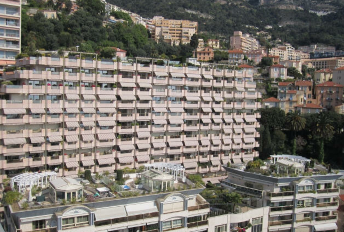 LE ROC FLEURI : GRANDE BILOCALE CON TERRAZZA E GIARDINO PRIVATO   GRANDE