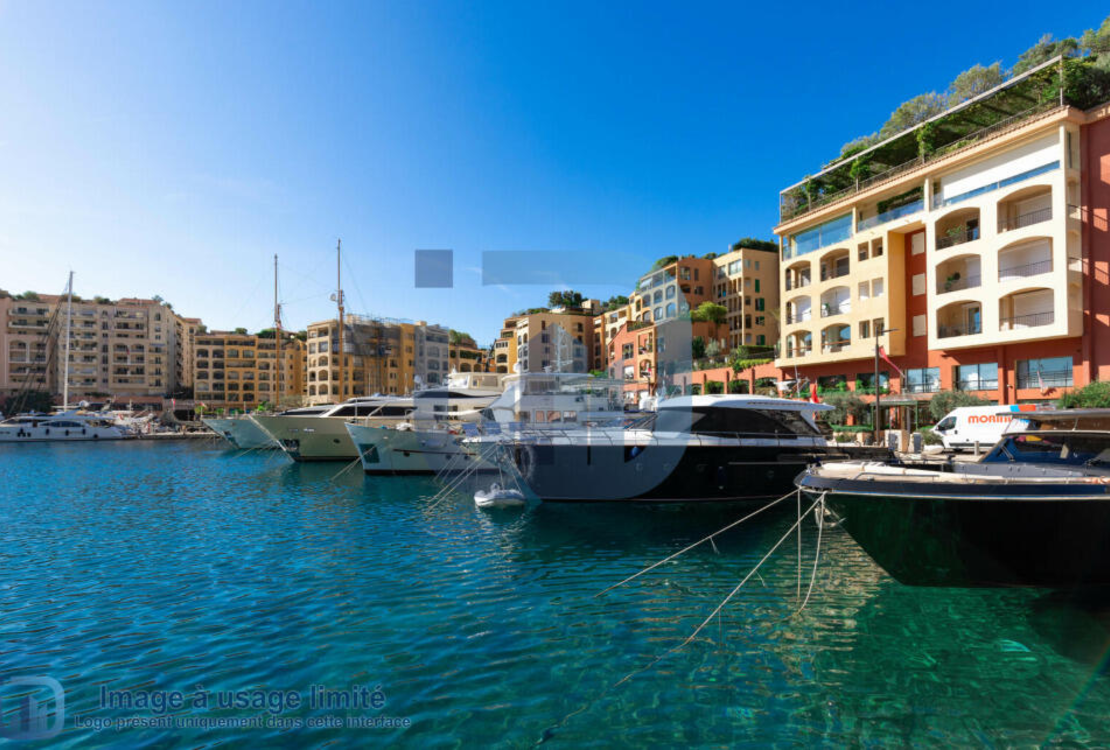 FONTVIEILLE | LE QUATTROCENTO | 6 PIECES