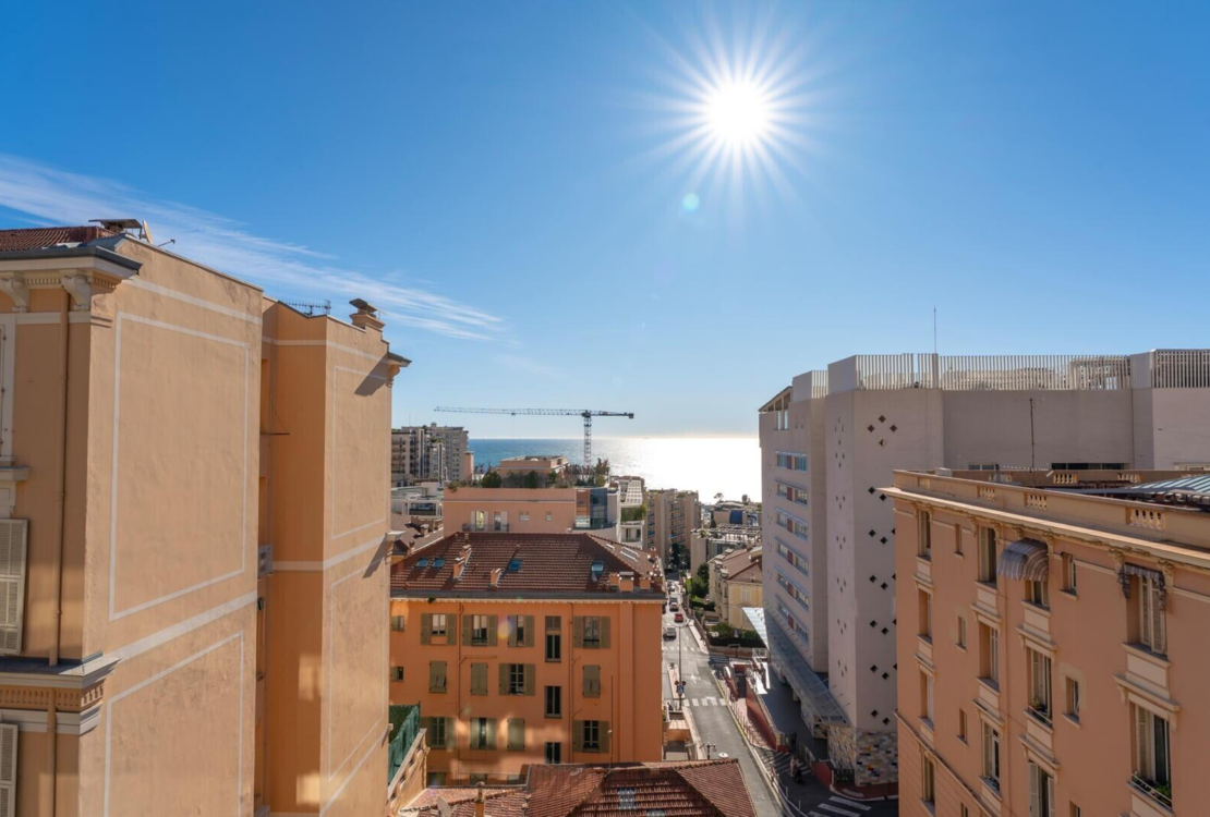 Spacious and bright 3-bedroom apartment on the border of Monaco — Résidence Olympe