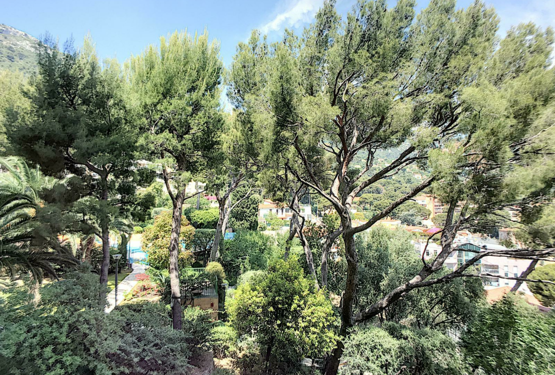 Les Ligures – renovated 3 room apartment with terrace & mountain view