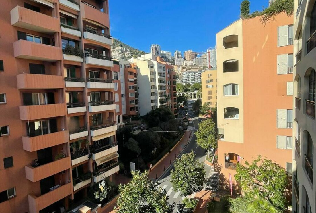 FONTVIEILLE | MICHELANGELO | 2 ROOMS