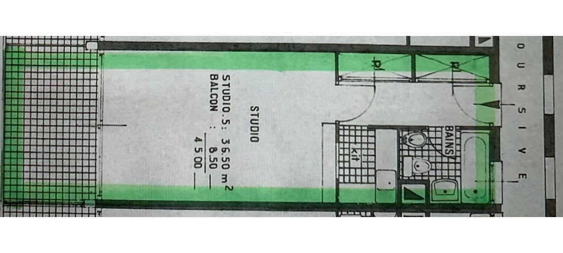 MONTE CARLO| BUCKINGHAM PALACE | STUDIO