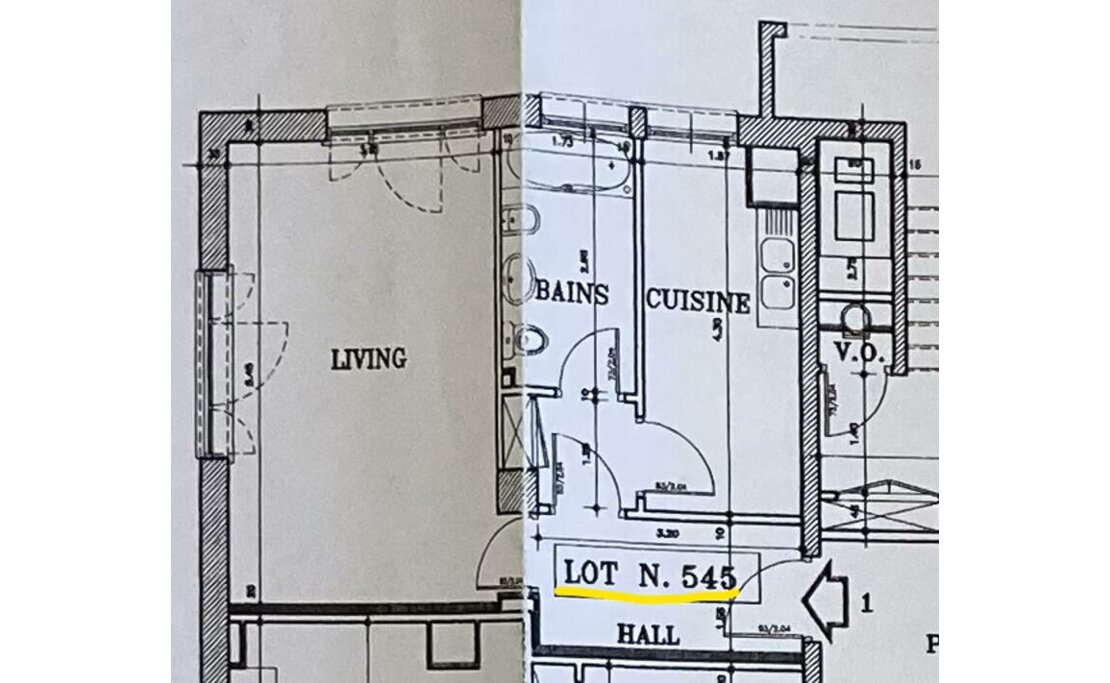LAROUSSE | LES ABEILLES | STUDIO